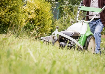 Image for Midland TX Lawns with ID of: 2851330
