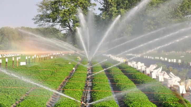 Image for Micro Irrigation Systems Market – Analysis, Demand, Trends and Forecasts 2024 with ID of: 2853361