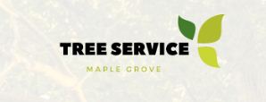 Image for Stump Removal In Maple Grove with ID of: 2854148