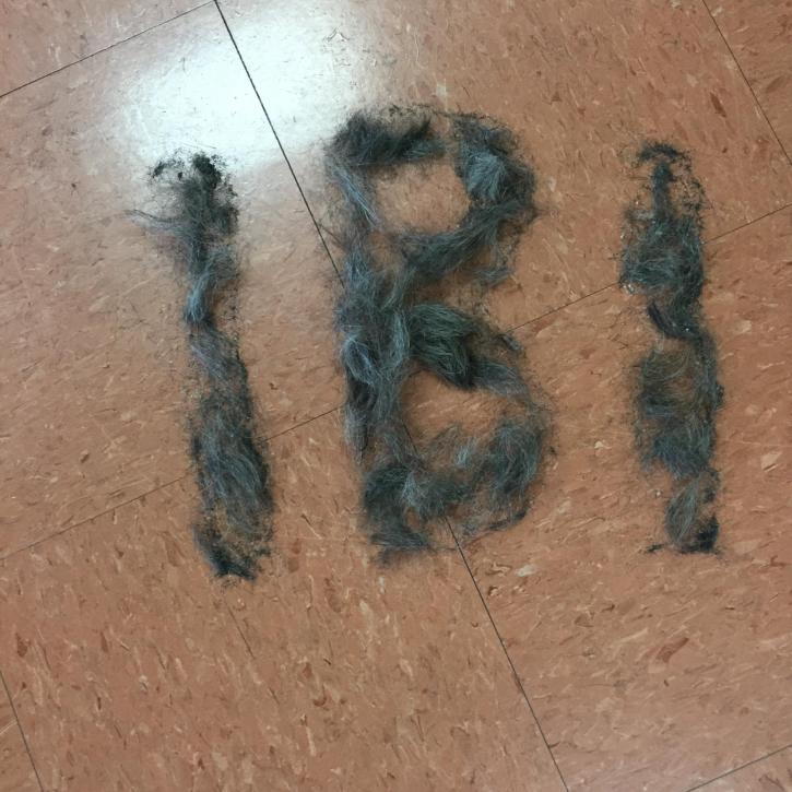 Image for International Barber Institute  with ID of: 2854641