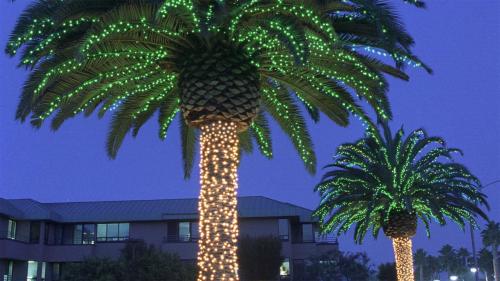 Image for Christmas Light Hanging with ID of: 2855820