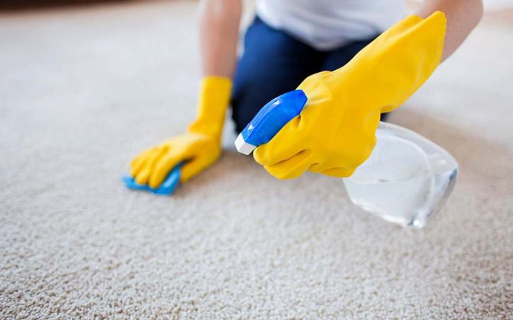 Image for Maid2Match House Cleaning Melbourne with ID of: 2855931