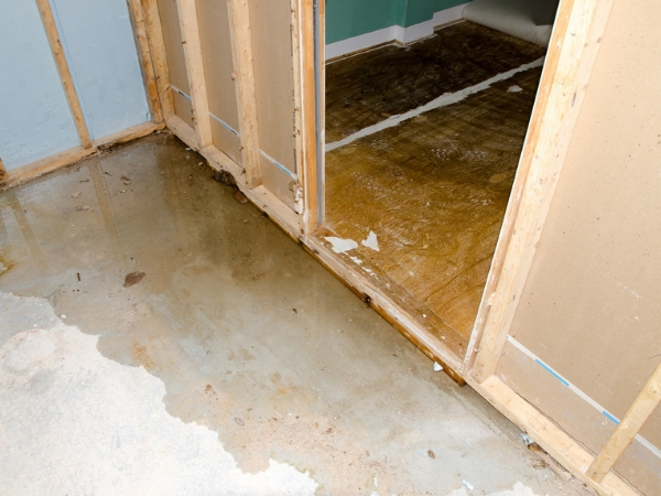 Image for Water Damage Clean Up Queens with ID of: 2856038