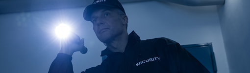 Image for USA PRIORITY SECURITY with ID of: 2857736