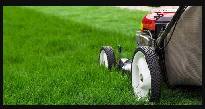 Image for Bryan Landscaping with ID of: 2859216