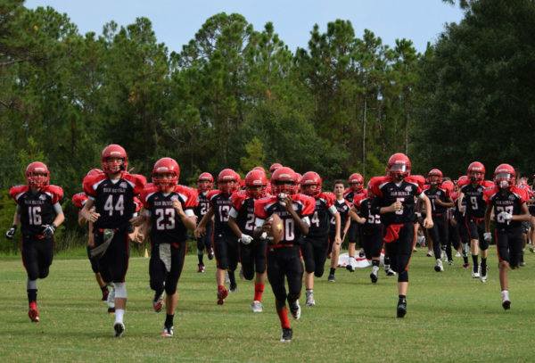 Image for Sarasota Sun Devils with ID of: 2862079