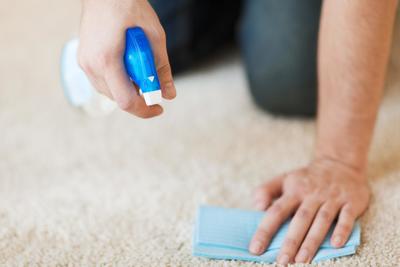 Image for East Valley Carpet Cleaners with ID of: 2862798