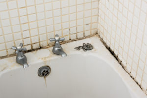 Image for Mold Removal Houston with ID of: 2863527