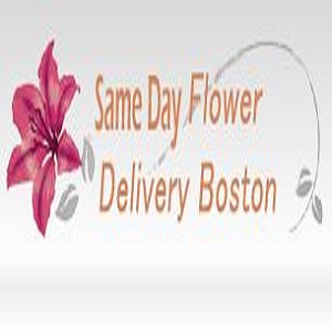Image for Same Day Flower Delivery Boston MA - Send Flowers with ID of: 2864984
