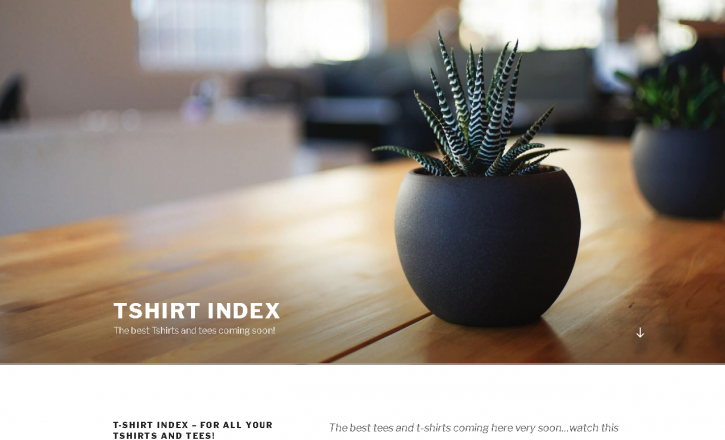 Image for tshirtindex with ID of: 2866257