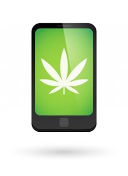 Image for Marijuana SEO with ID of: 2867014