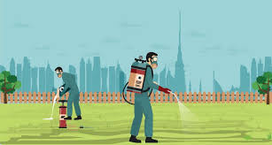Image for Phoenix Pest Control | Pest Control Phoenix, AZ with ID of: 2867313