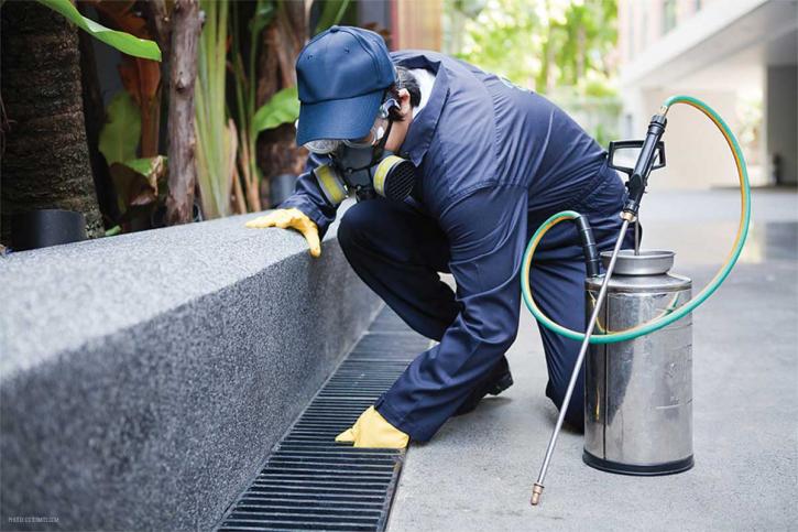 Image for Phoenix Pest Control | Pest Control Phoenix, AZ with ID of: 2867316