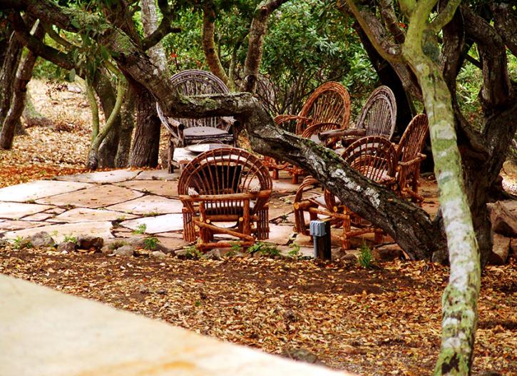 Image for Erik Jones Landscaping with ID of: 2867534