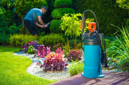 Image for WEST SENECA PEST CONTROL SERVICE with ID of: 2868017