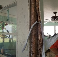 Image for WEST SENECA PEST CONTROL SERVICE with ID of: 2868022