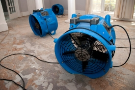 Image for Water Damage Repair Queens with ID of: 2868174