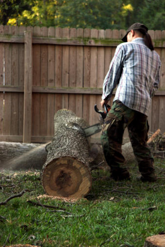 Image for Garcia's Tree Care with ID of: 2870728