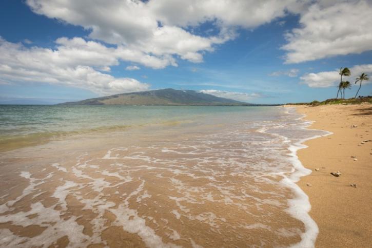 Image for Knowles Maui with ID of: 2871922