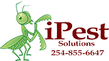 Image for Bed Bug Removal control | waco wildlife removel with ID of: 2873668