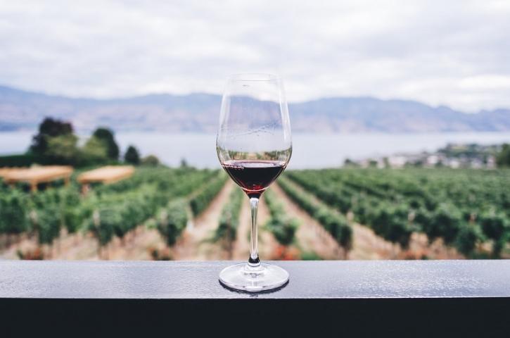 Image for Wineladybird with ID of: 2874276