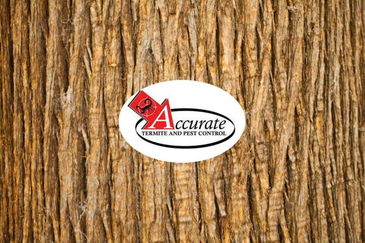 Image for Accurate Pest Control - Austin with ID of: 2874560