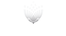 Image for Pure Parima with ID of: 2874988