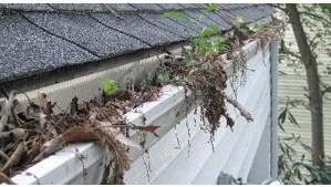 Image for Universal Home Solutions, Inc. with ID of: 2876235