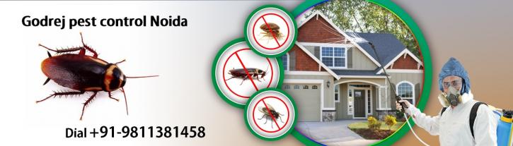 Image for Pest control Gurgaon call +91-9811381458 with ID of: 2877695