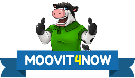 Image for Moovit4now with ID of: 2881630