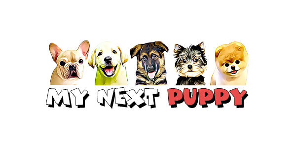 Image for My Next Puppy with ID of: 2882256