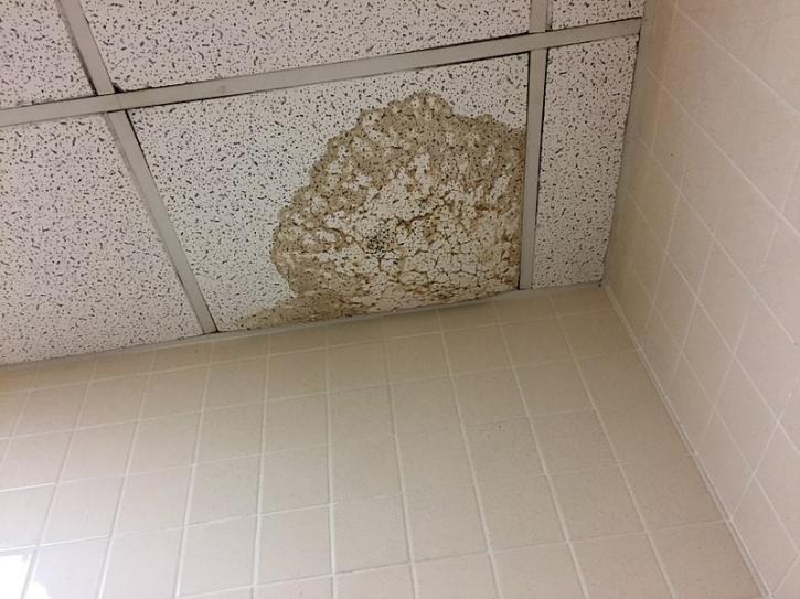 Image for Water Damage Boca Experts with ID of: 2882742