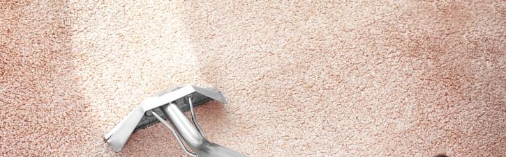 Image for Mr Madison Carpet Cleaning with ID of: 2885124