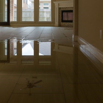 Image for Mr Madison Carpet Cleaning with ID of: 2885131