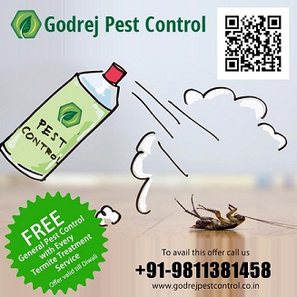 Image for Bed bugs Suck! | Pest Control Delhi | +91-9811381458 with ID of: 2885435
