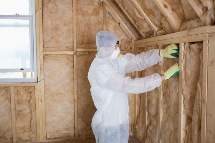 Image for Anthony's Asbestos And Mold LLC with ID of: 2886985