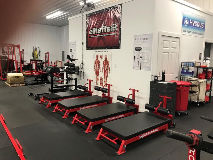 Image for Elite Fitness Training and Coaching with ID of: 2887828