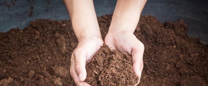 Image for D's Recycling and Composting with ID of: 2889668