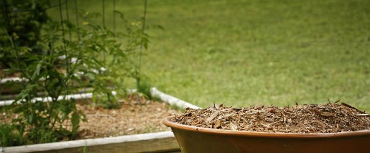 Image for D's Recycling and Composting with ID of: 2889671