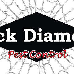 Image for Black Diamond Pest Control with ID of: 2889765