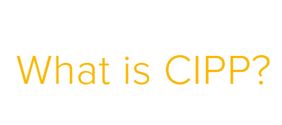Image for What is CIPP with ID of: 2890309