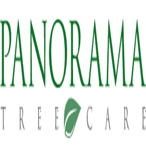 Image for Panorama Tree Care: Tampa Tree Services with ID of: 2890368