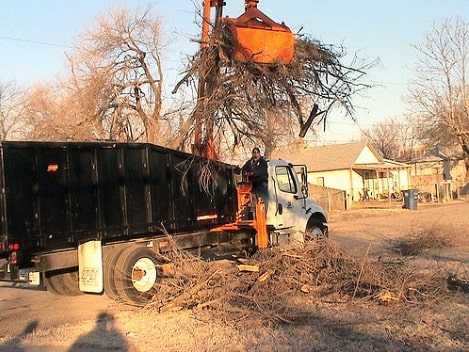 Image for Tree Service Calgary with ID of: 2894997