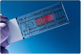 Image for Global lab-on-a-chip market, by Application, Product Type, Technology, End User, Region and Geography - Trends and Forecast to 2025 with ID of: 2895472