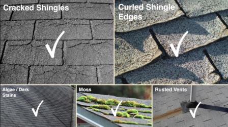 Image for Olympia Roofing with ID of: 2898630
