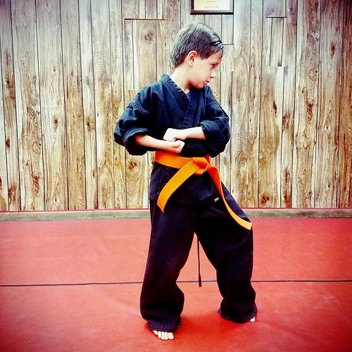 Image for Tracy's Karate Studio with ID of: 2900544