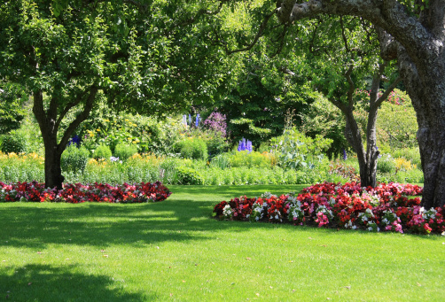 Image for Absolute Lawn Care Svc with ID of: 2900807