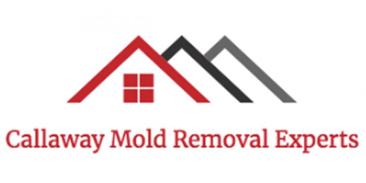 Image for Callaway Mold Removal Experts with ID of: 2901256