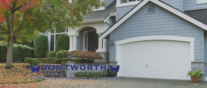Image for Whitworth Pest Solutions Inc with ID of: 2901346