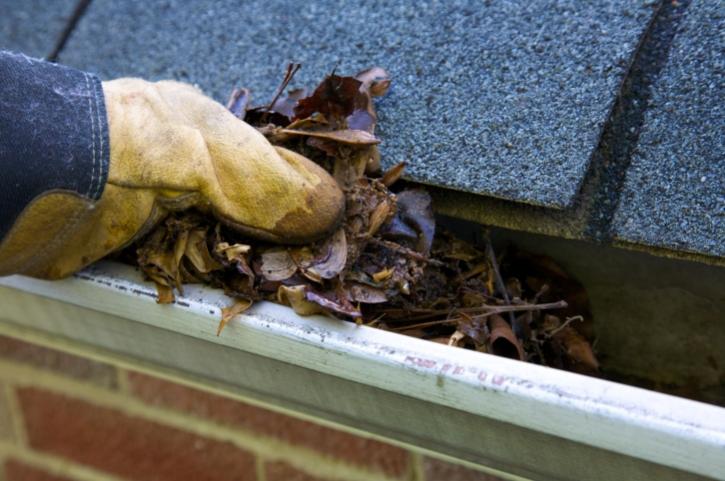 Image for Home Gutter Cleaning with ID of: 2903613